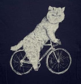 Flat Face Cat on a Bicycle Youth Shirt