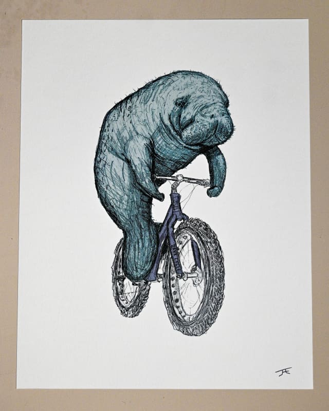 Manatee on a Bike Print - Artwork