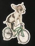 Vinyl Sticker - SINGLE - Chihuahua