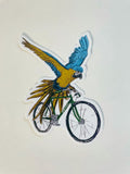 Vinyl Sticker - SINGLE - Macaw