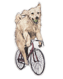 Golden Retreiver on a Bicycle Vinyl Sticker