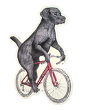 Labrador on a Bicycle Vinyl Sticker