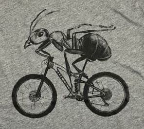 Ant on a Bicycle Youth Shirt