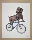 Dachshund on a Bike Print - Artwork
