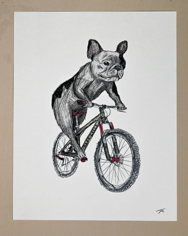 Frenchie on a Bike Print - Artwork