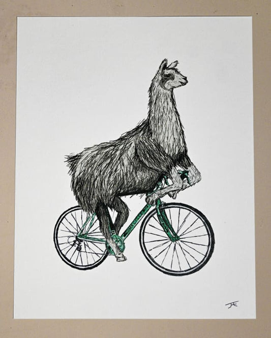 Llama on a Bike Print - Artwork